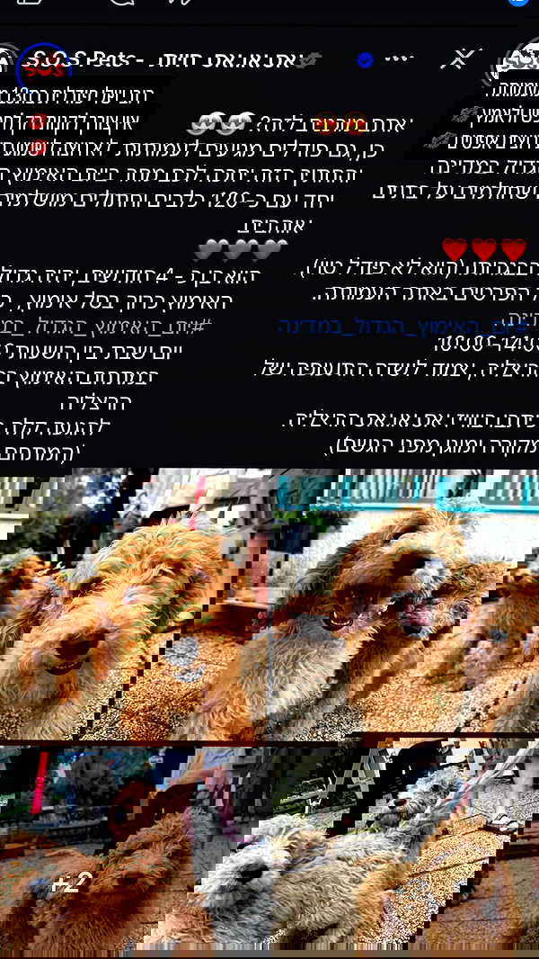 feelbetterinmysweater feelbetterinmysweater archive image