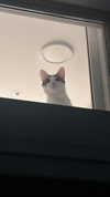 yuna_1_27 Altpins Profile Picture