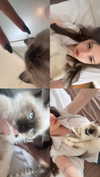 eliya.ho Altpins Profile Picture