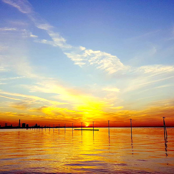 muze instagram image archive image