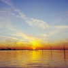 muze Altpins Profile Picture