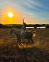 vanessa.rhd Altpins Profile Picture