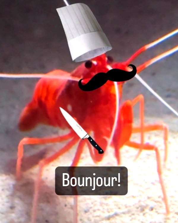 peachtoot.plz instagram image archive image