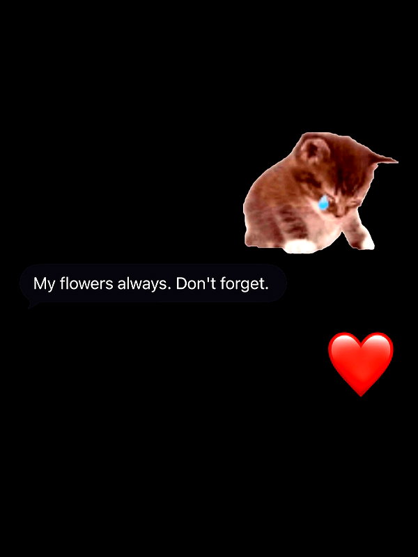 sabrvna instagram image archive image