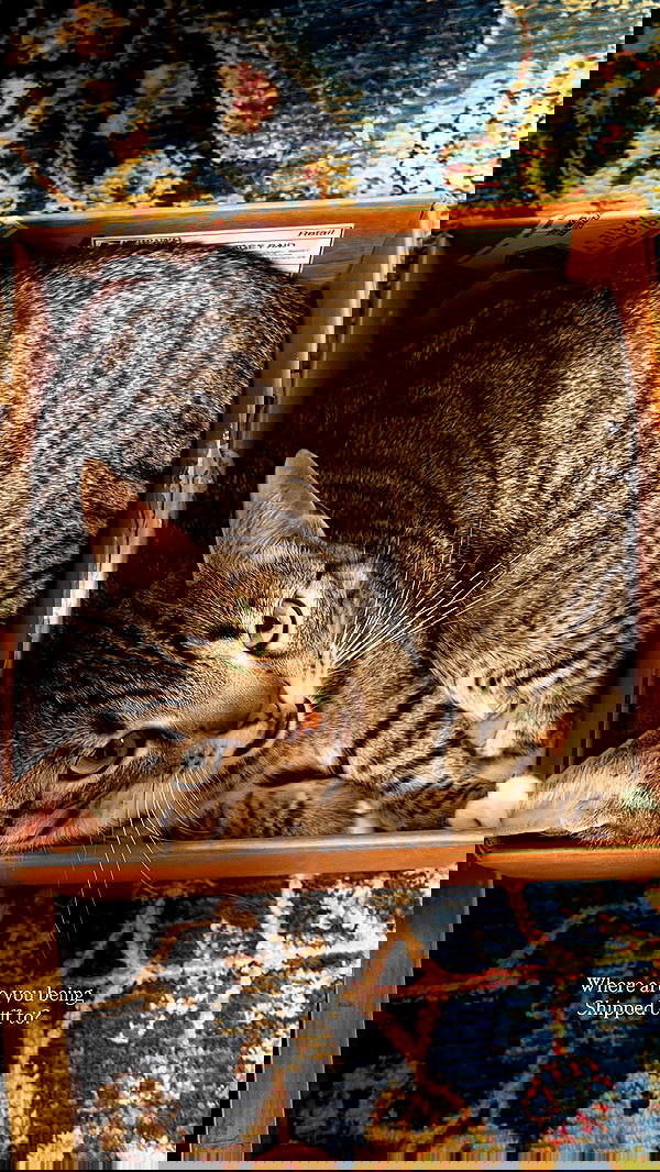 taylor.creeden taylor.creeden archive image