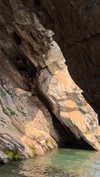 gritsa.k Altpins Profile Picture