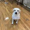 dear.zia Altpins Profile Picture