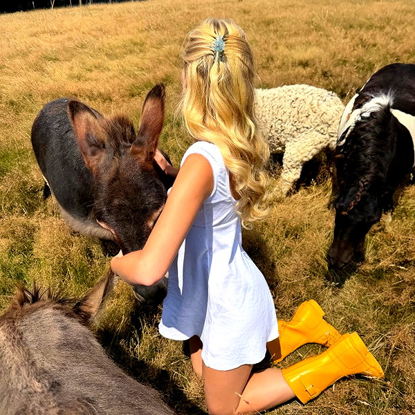 skylasanders instagram image archive image