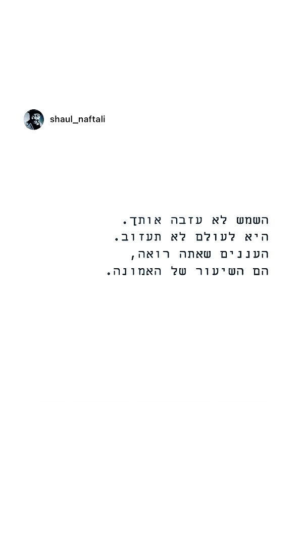 shaharo__._ instagram image archive image