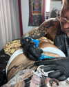 darkstar_mia Altpins Profile Picture
