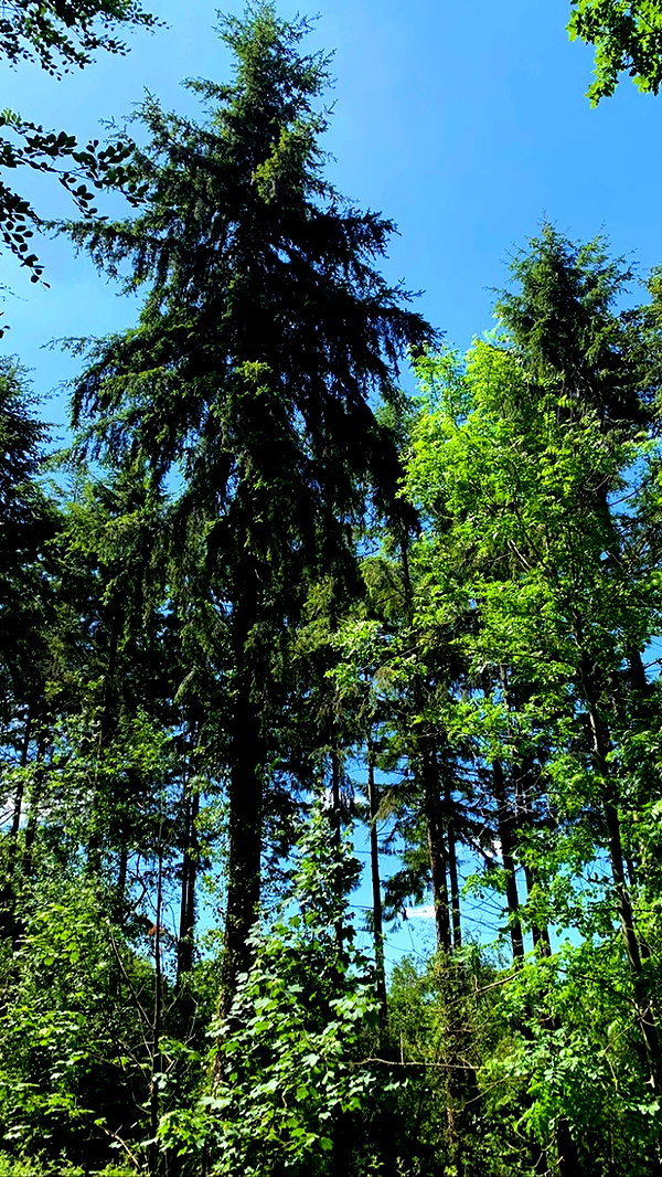 mollieruck instagram image archive image
