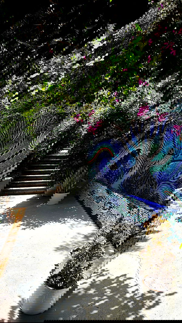 taylor.creeden taylor.creeden archive image