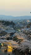 kasumi_sen Altpins Profile Picture