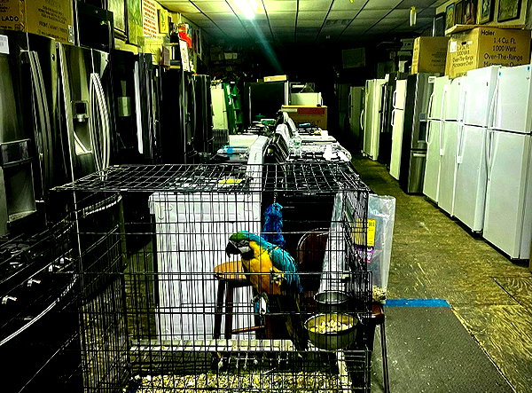 bugz4brainz instagram image archive image