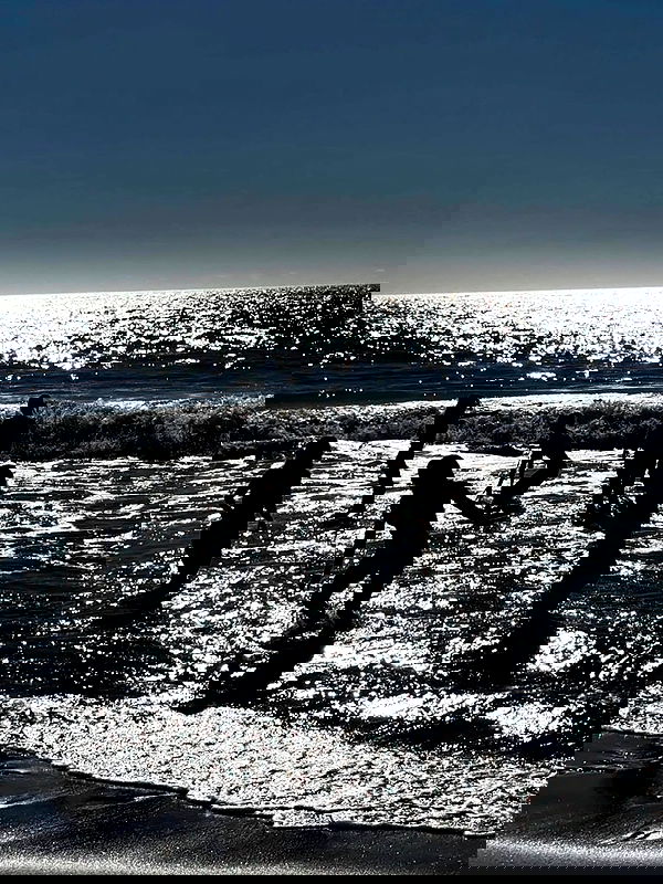 taylor.creeden taylor.creeden archive image