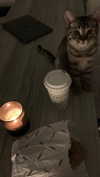 milena_milachich Altpins Profile Picture