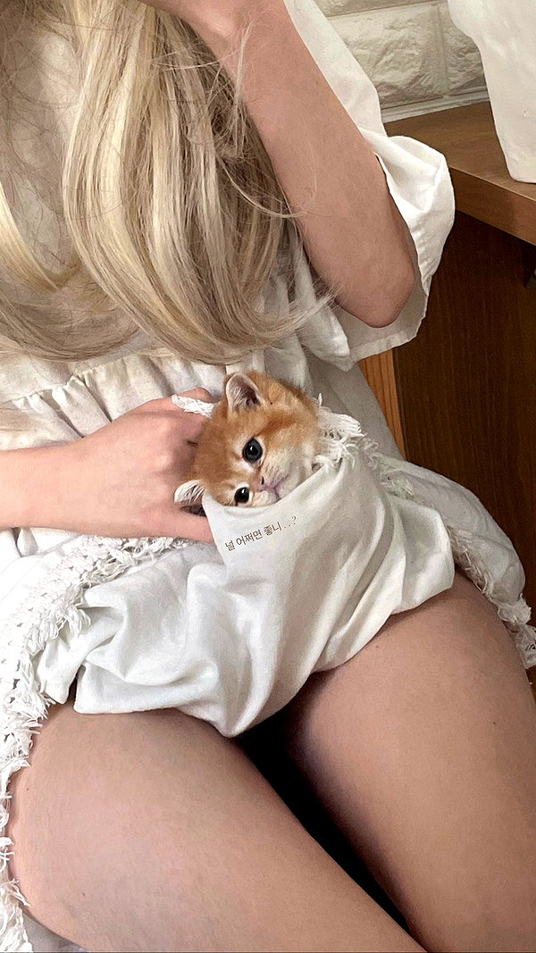 s0meii0 instagram image archive image
