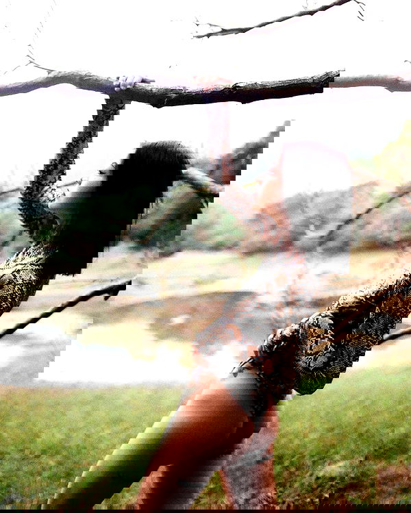 ting851204 ting851204 archive image