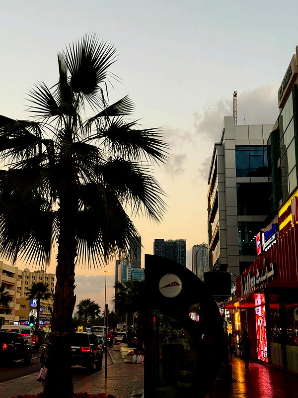 danamrts instagram image archive image