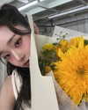 dear.zia Altpins Profile Picture