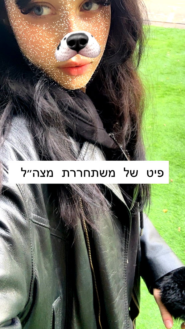 moonliliaght instagram image archive image