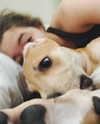 sashapieterse Altpins Profile Picture