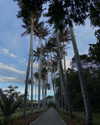 solzarubin_ Altpins Profile Picture