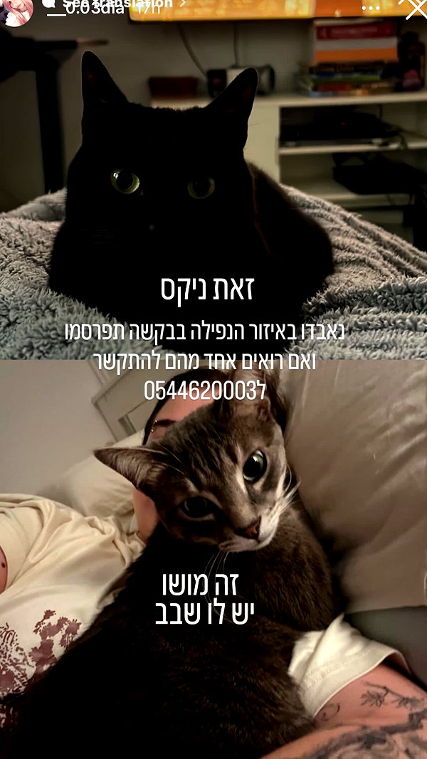 avitallllllllllllllll instagram image archive image
