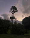 0nlygrlinthewrld Altpins Profile Picture
