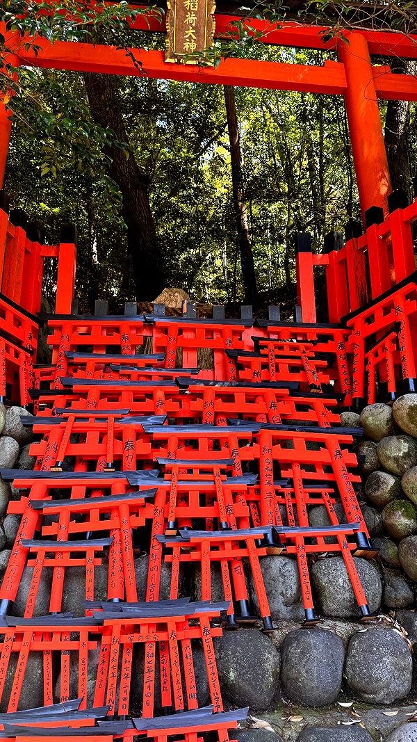 urplpur instagram image archive image