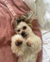 katiehamden_ Altpins Profile Picture