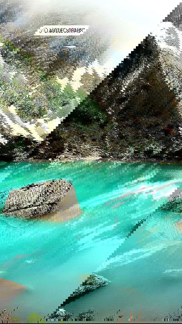 taylor.creeden taylor.creeden archive image