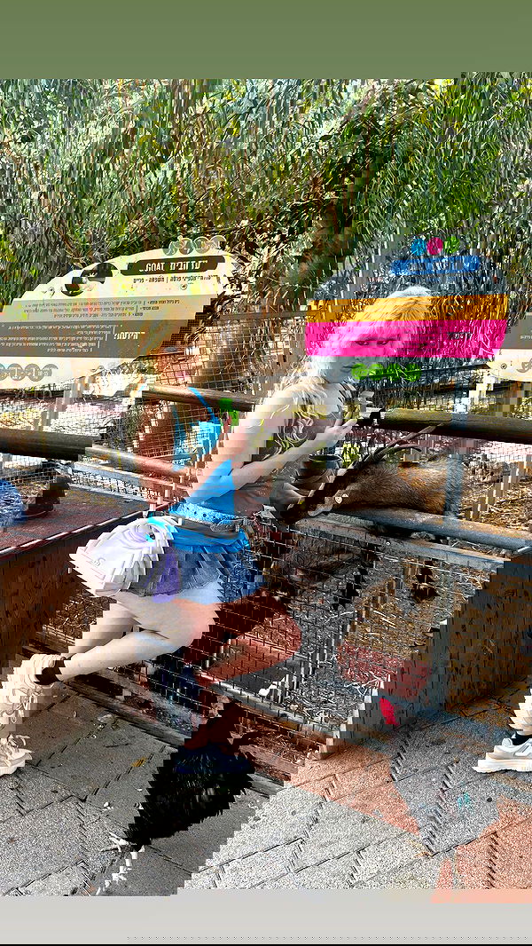 ormosheee ormosheee archive image