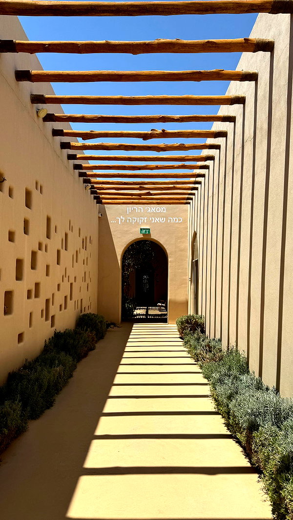 barzomer instagram image archive image