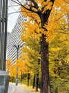 marilyn_damaged Altpins Profile Picture