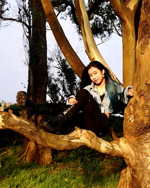 shulunc instagram image archive image