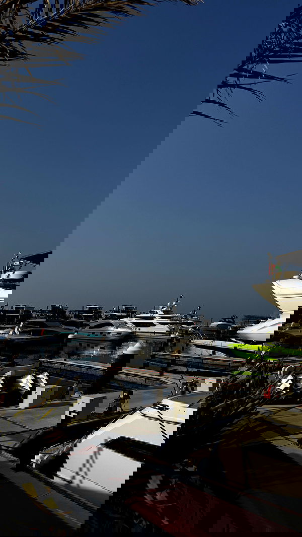 pollcherri pollcherri archive image