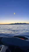 maori_cohen Altpins Profile Picture