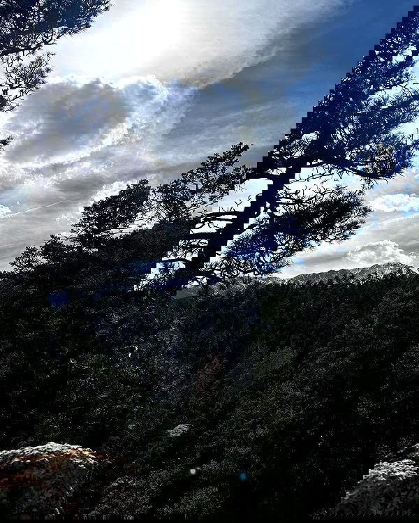 thelizzyporter thelizzyporter archive image