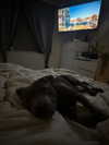 _m_a_y_c_ Altpins Profile Picture