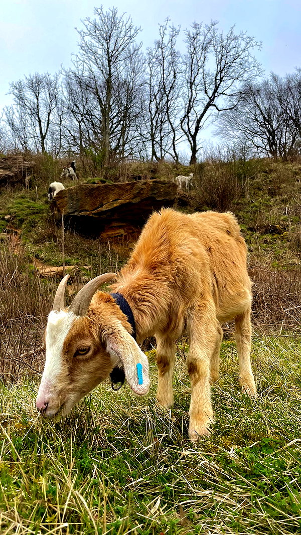mollieruck instagram image archive image