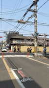 kasumi_sen Altpins Profile Picture