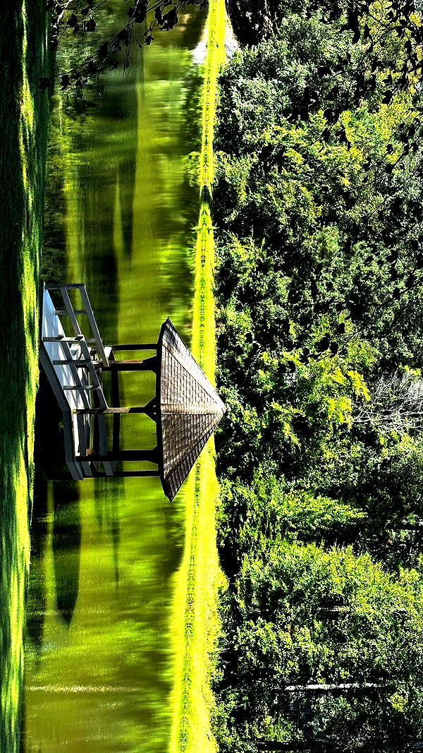elizabethcampbelljones instagram image archive image