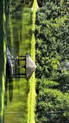 elizabethcampbelljones Altpins Profile Picture