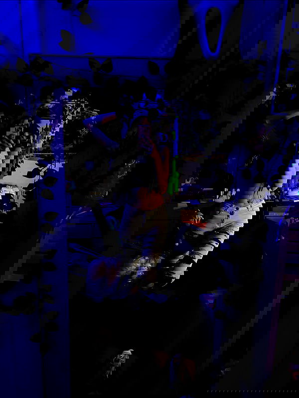 _animechika_ _animechika_ archive image