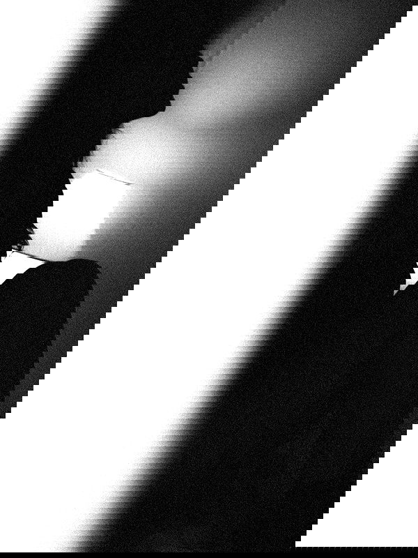 ting851204 ting851204 archive image