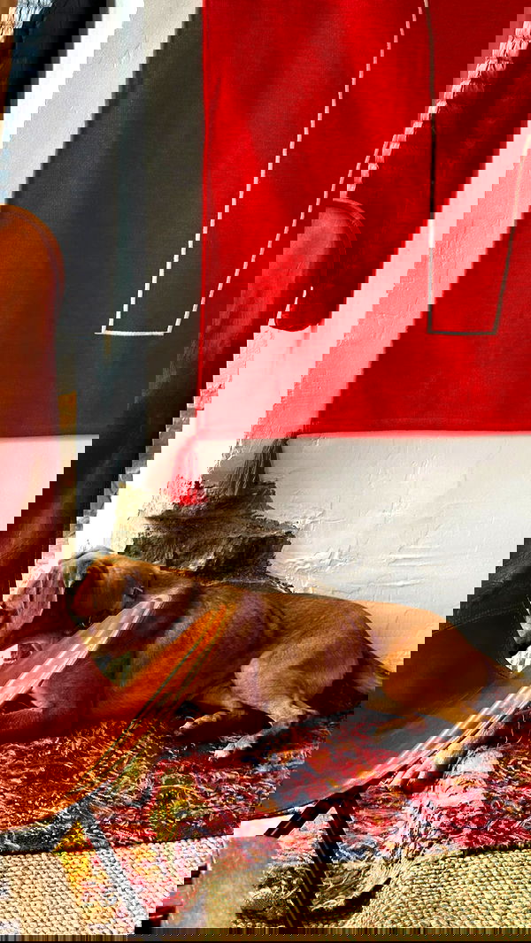 manjolamuriqi manjolamuriqi archive image