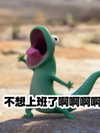 150_aiko Altpins Profile Picture