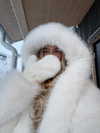 hollyjai Altpins Profile Picture
