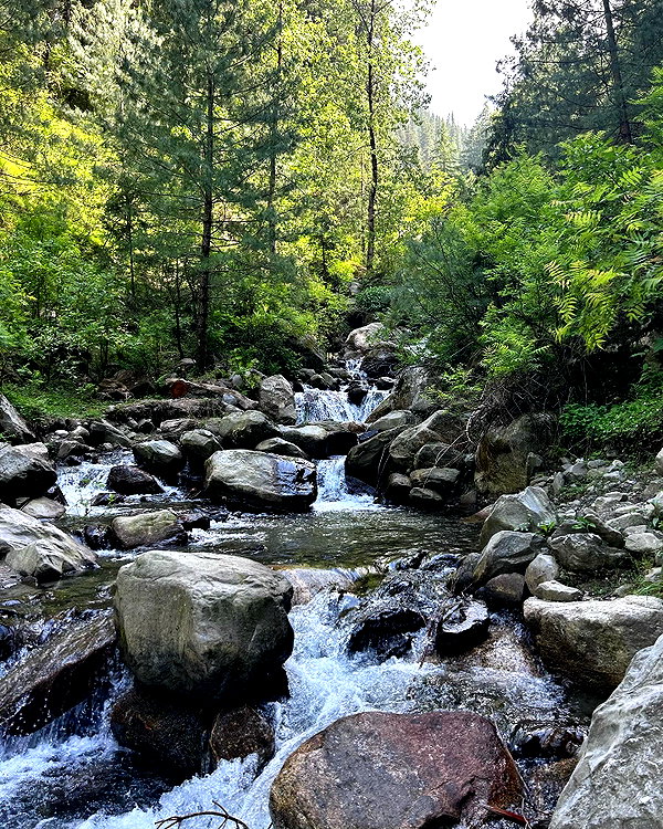 tamar_tsur instagram image archive image